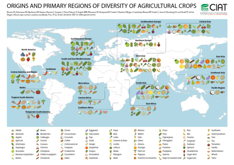 bitstreamhandle1056875665PRINT - Origin Species World Map v9 - Hires ...