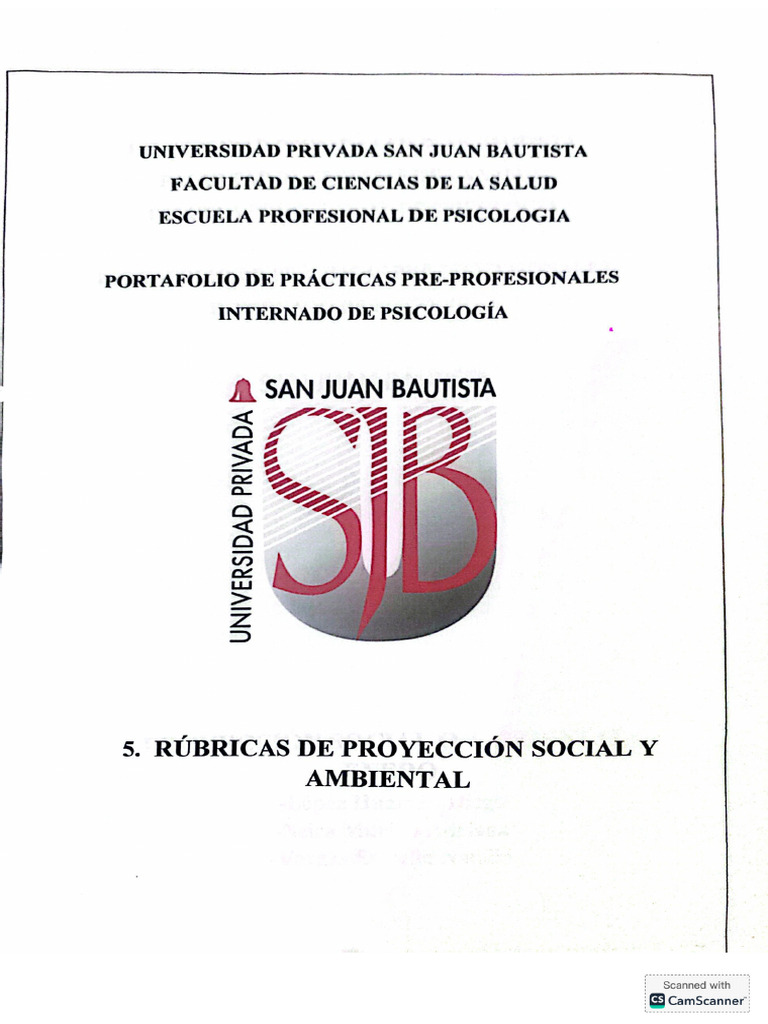 Proyecto Social+ Rubrica | PDF