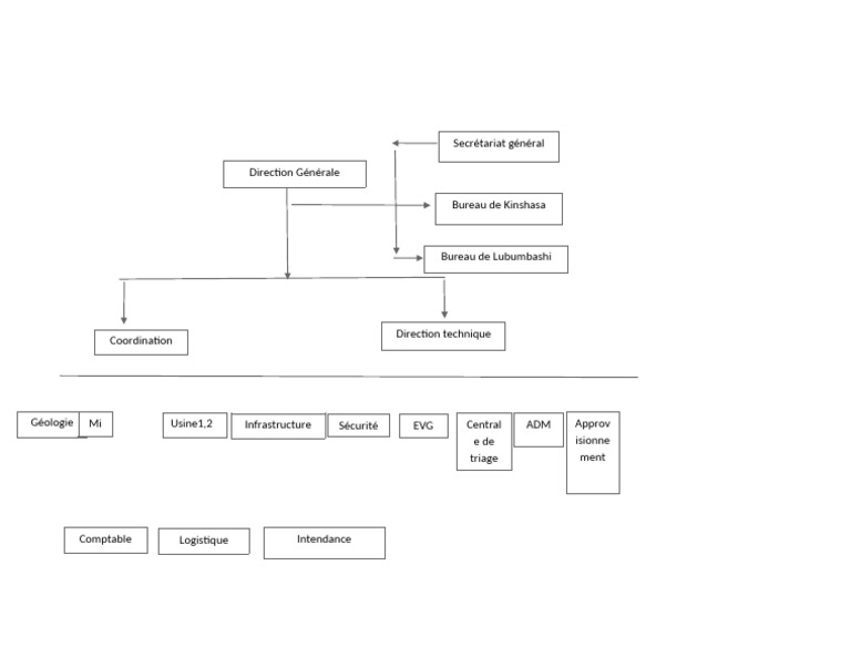 Organisation de la Direction Générale | PDF