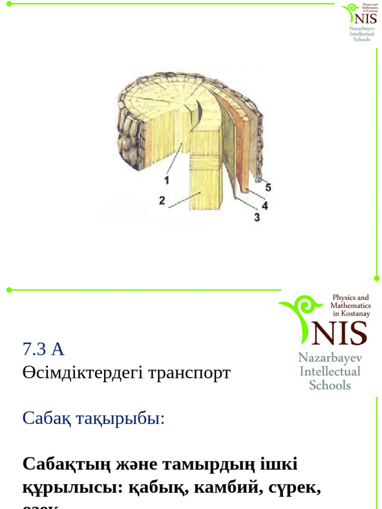 Түрмеде порнографияға жол берілуде