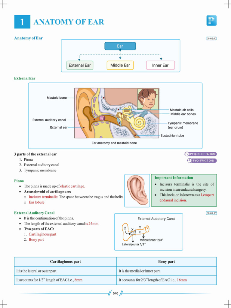 Ent | PDF