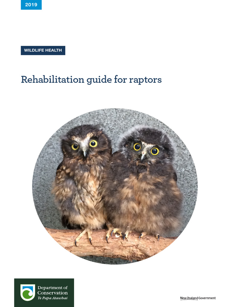 Raptors Rehabilitation Best Practices Guide | PDF | Birds | Birds Of Prey