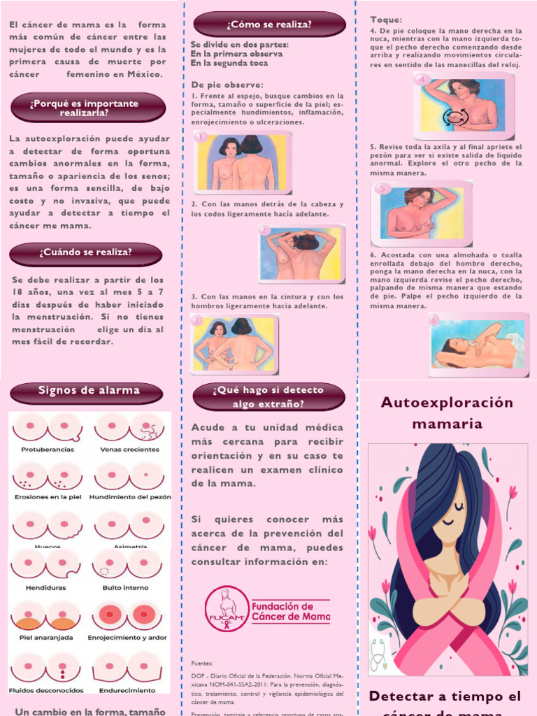 Guía De Autoexploración Mamaria Pdf Pecho Cáncer De Mama 