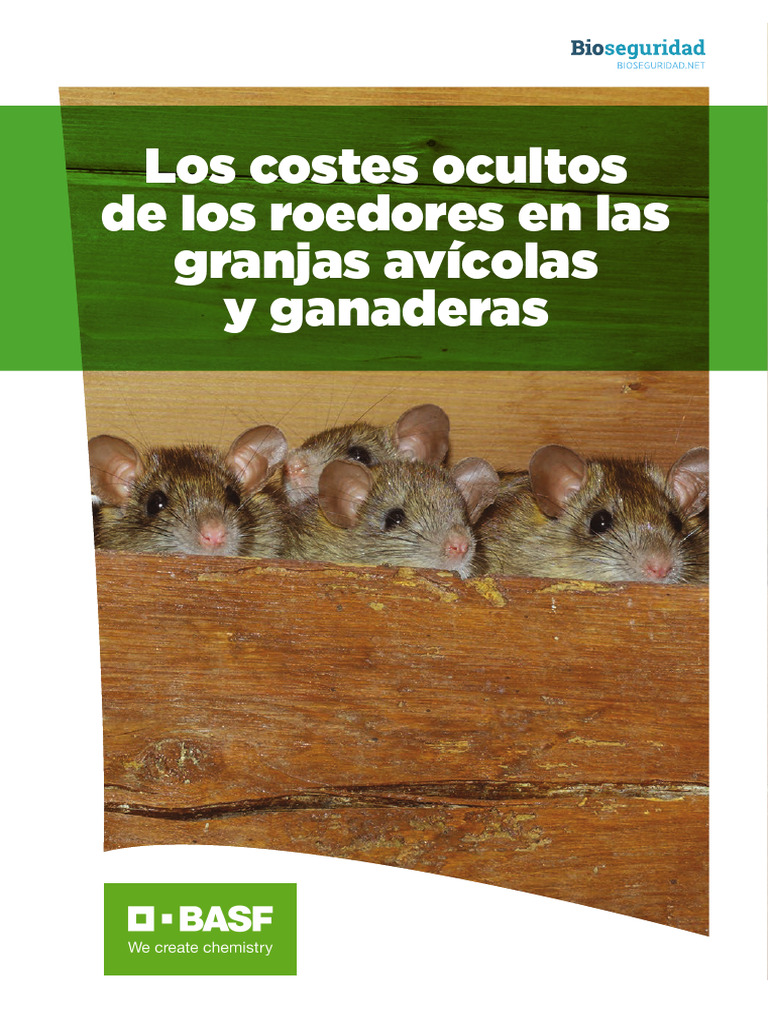 Costes de roedores en granjas avícolas | PDF | Roedor | La alimentación ...