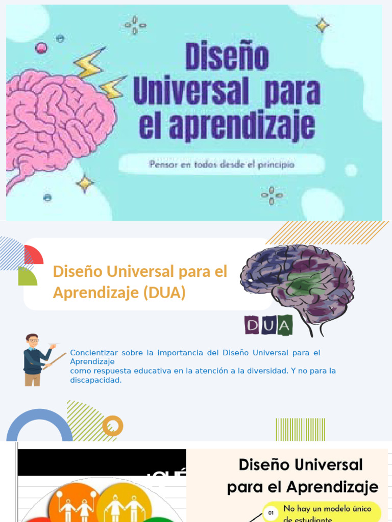 DUA | PDF | Aprendizaje | Plan de estudios