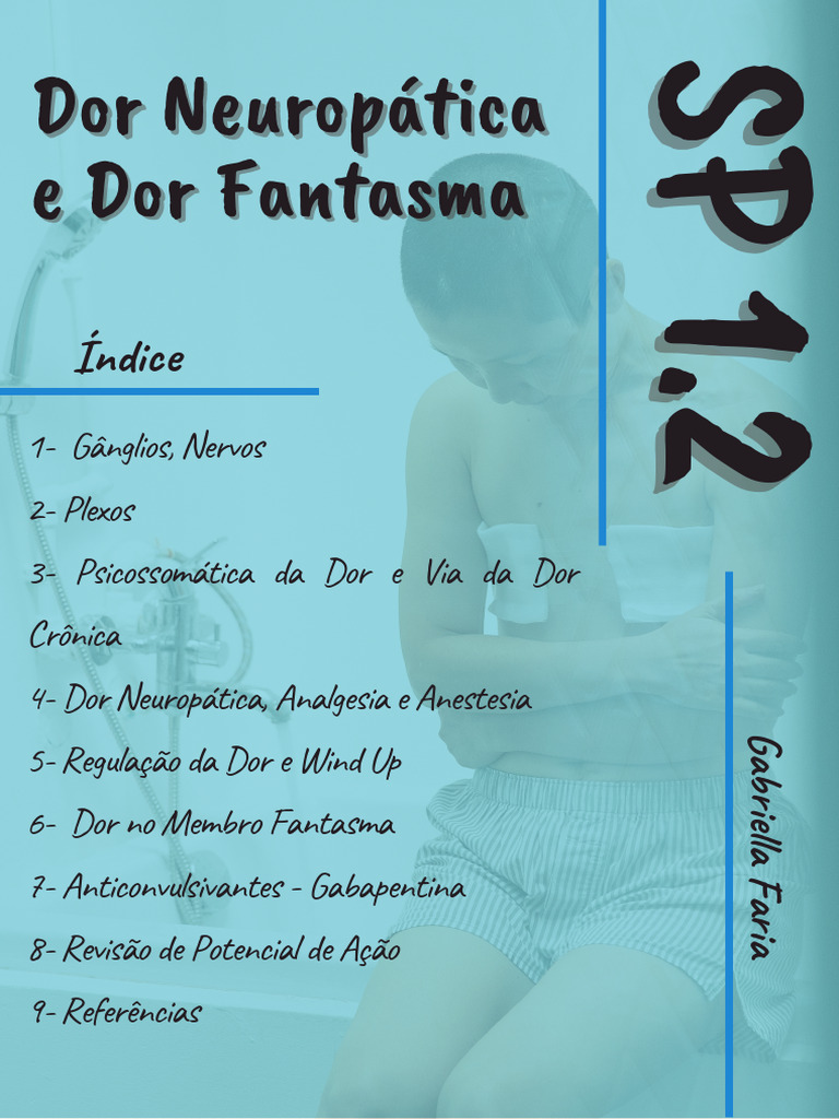 Entendendo a Dor Neuropática e Fantasma | PDF | Dor | Nervo