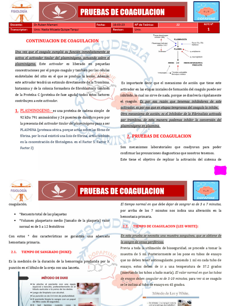 F-R1-T22-GB-PRUEBAS DE COAGULACION (16-03-2023) | PDF | Coagulación ...