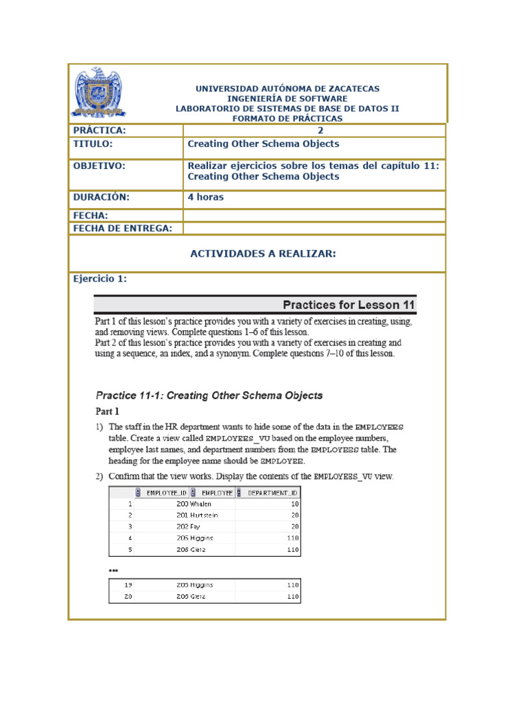 Database Schema Objects Practice Guide | PDF | Data Management | Computing