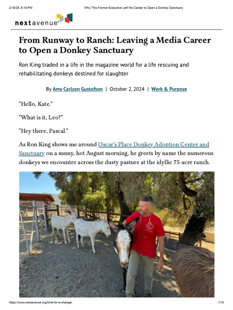 From Media Exec to Donkey Rescuer | PDF | Donkey
