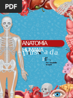 Esquema Completo de Anatomía Humana | PDF