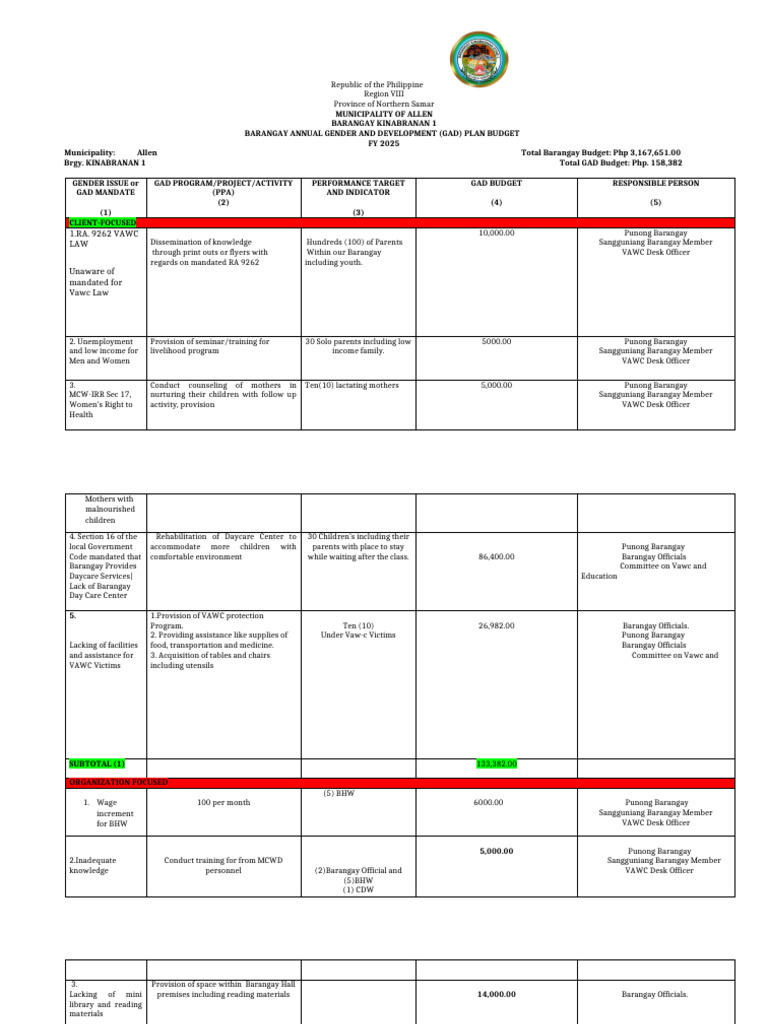 GAD PLAN BUDGET | PDF
