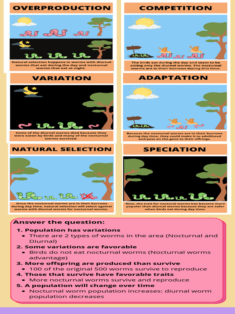 Natural Selection Infographic | PDF