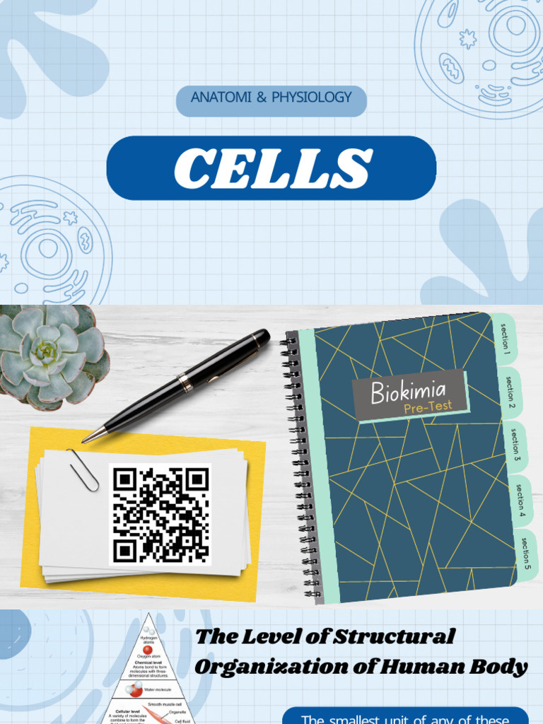 Human Cell and Tissue Anatomy Guide | PDF | Cell Membrane | Epithelium