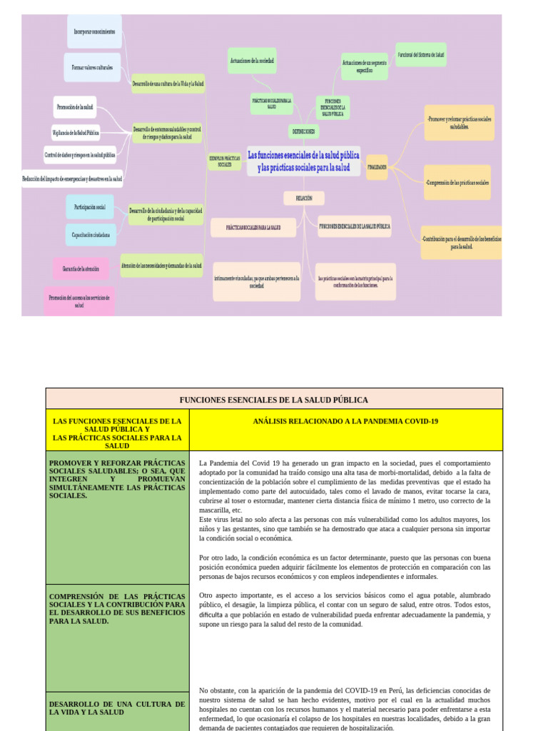ANALISIS DEL MAPA MENTAL- FUNCIONES ESENCIALES DE LA SALUD PÚBLICA | PDF