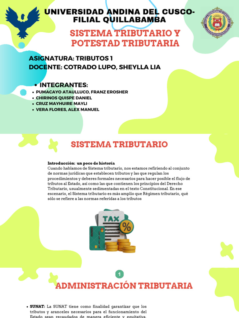 Sistema Tributario y Potestad en Bolivia | PDF | Impuestos | Gobierno