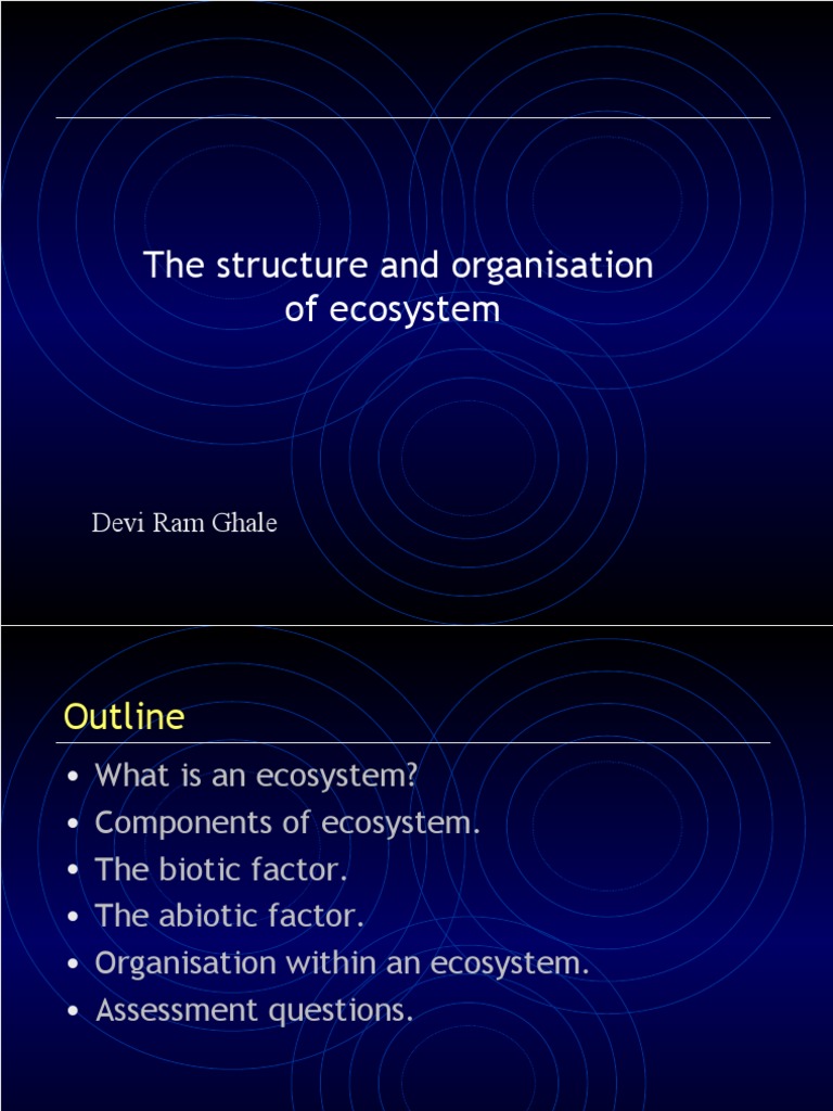Understanding Ecosystem Structure and Components | PDF