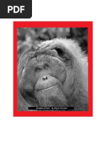 Download Ancestors of God by Wayne  Thornton  SN82995808 doc pdf