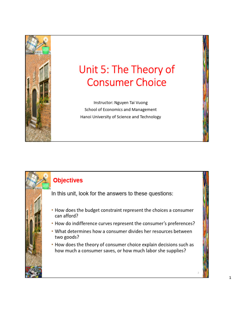 Consumer Choice Optimization Explained | PDF | Labour Economics | Utility
