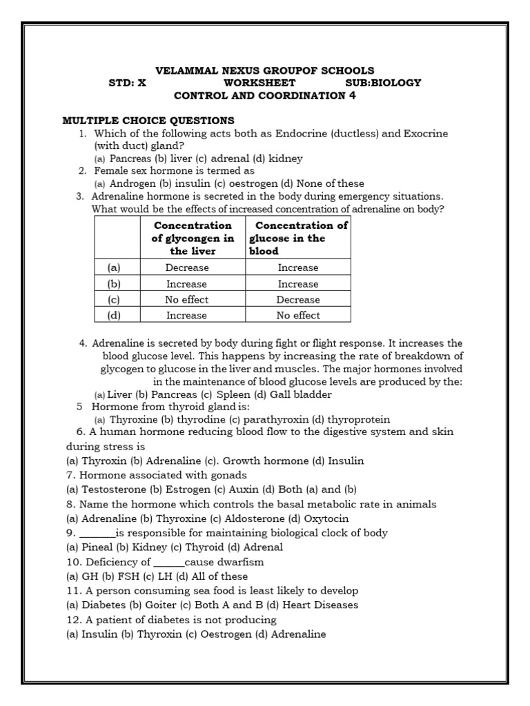 Worksheet - Control and Coordination 5 | PDF | Endocrine System | Hormone
