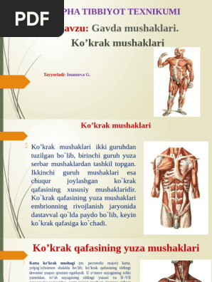 Yosh qizlar bilan porno tomosha qiling