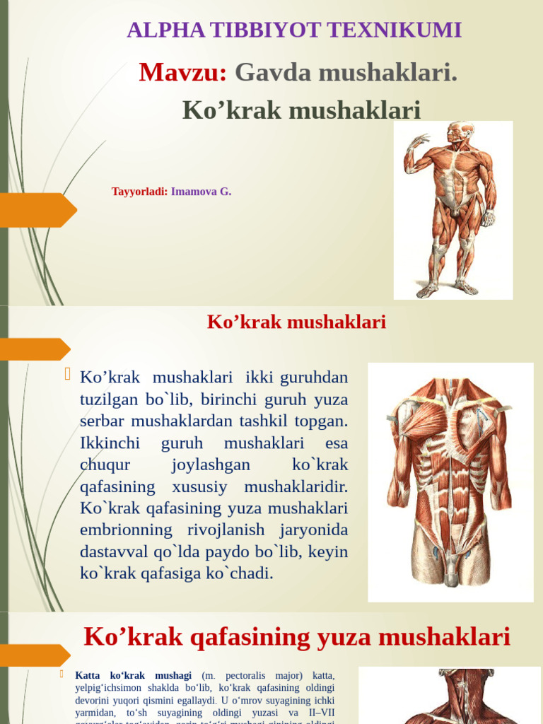 Alp qizi jinsiy aloqa