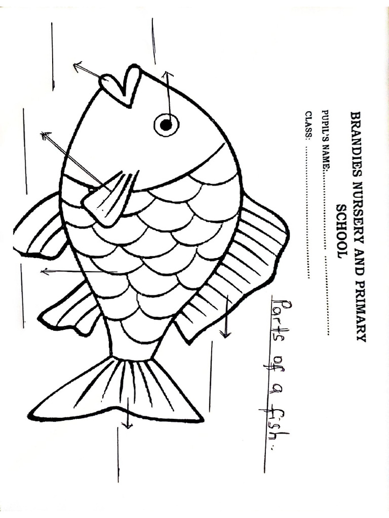 Fish Science Diagram | PDF