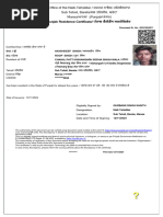 PDF Document