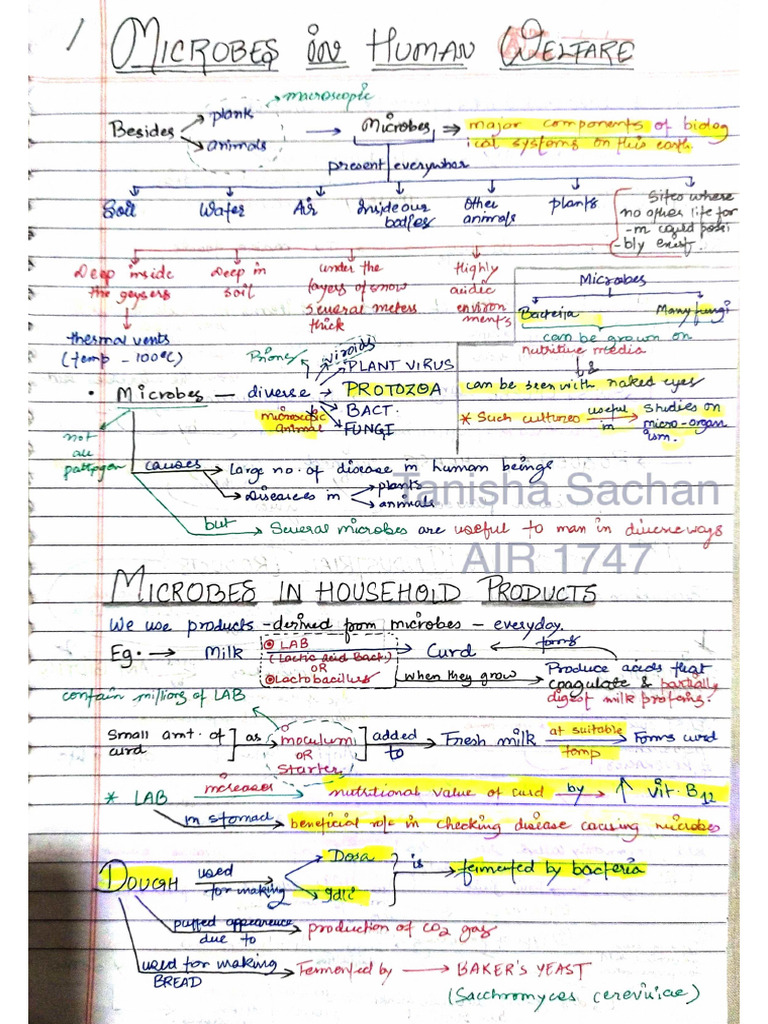 Microbes in Human Welfare NCERT THREAD NOTES | PDF
