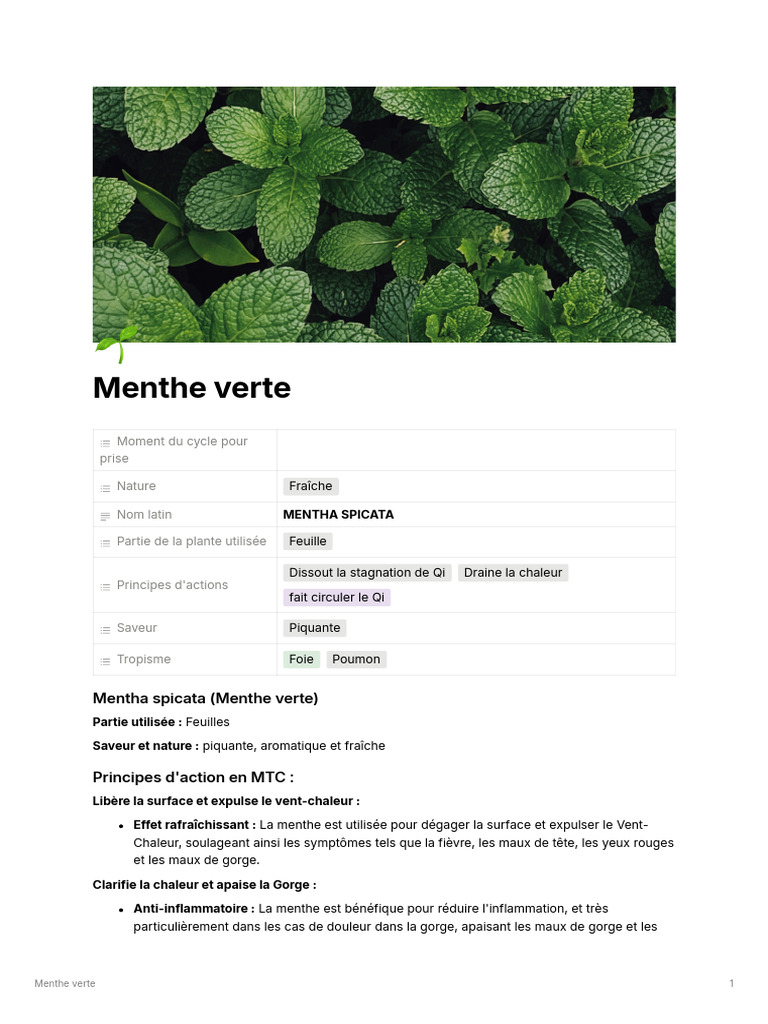 Bienfaits de la menthe verte en MTC | PDF | Menthe | Huile essentielle