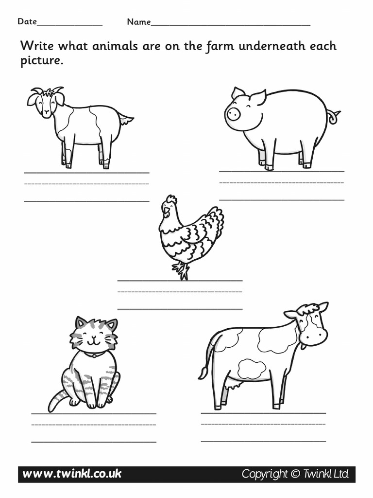 Animals - Writing | PDF