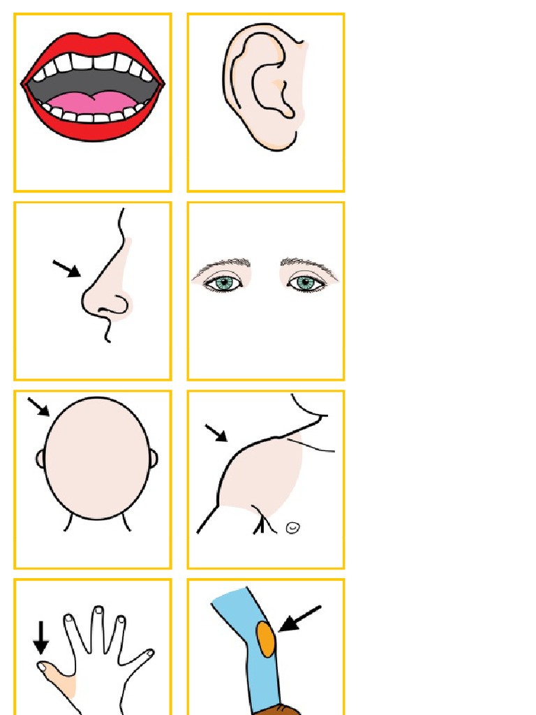 Pictos 3 | PDF