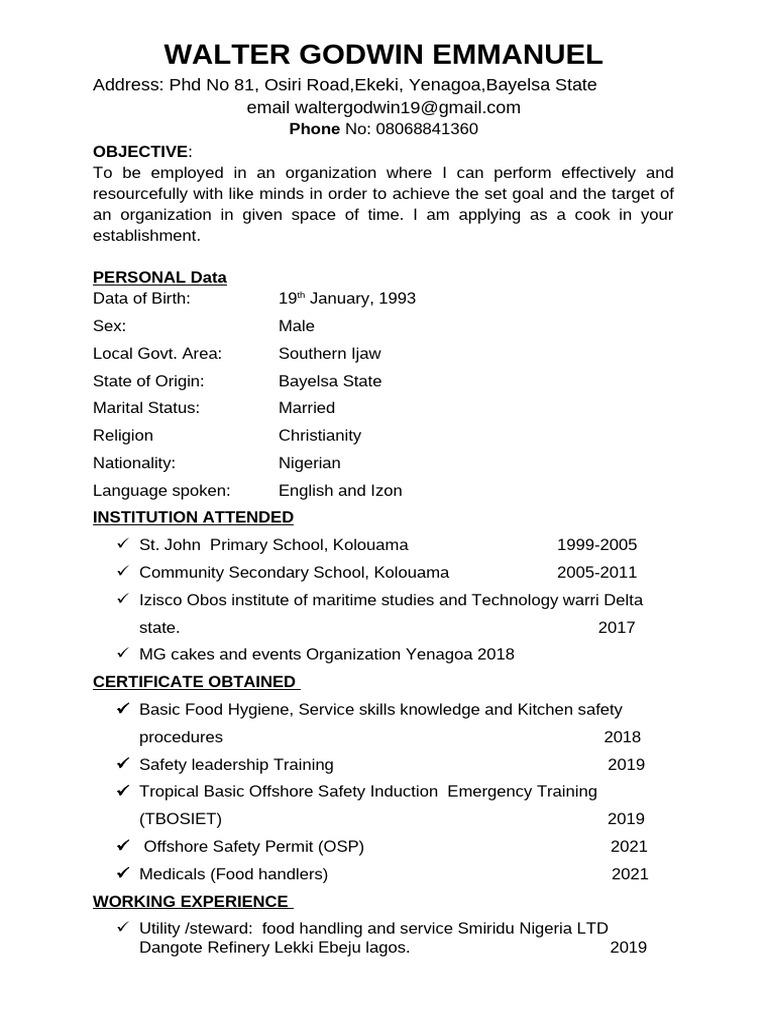 My New Cv Pdf
