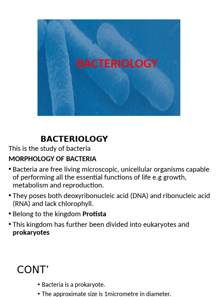 Bacterial Pathogens and Infections Overview | PDF | Virus | Bacteria