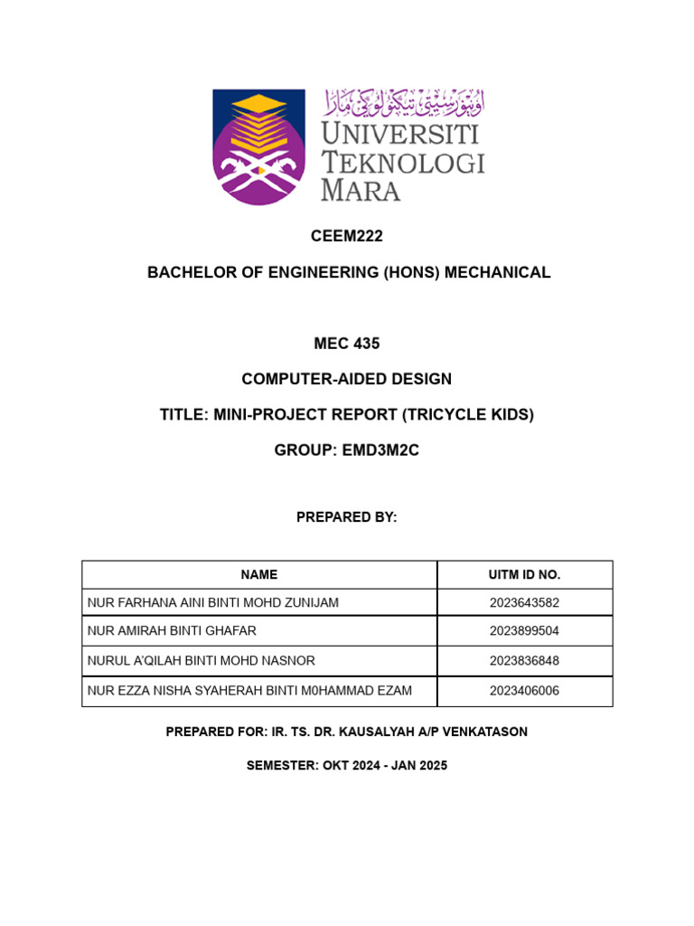 Mp Report Group 2 2c | PDF
