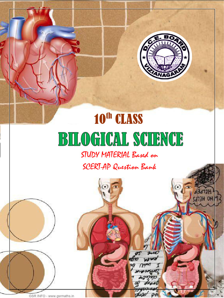 10th Class Biology Study Material PDF | PDF | Kidney | Cellular Respiration