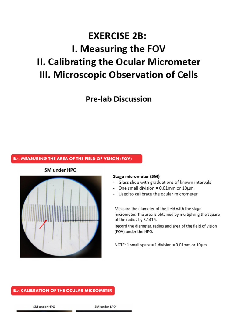 Ex 2B_Pre-lab | PDF | Laboratory Equipment | Light