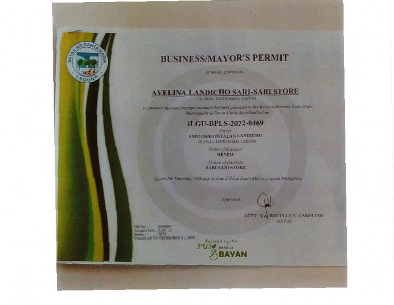 R'S Permit: Bayan | PDF
