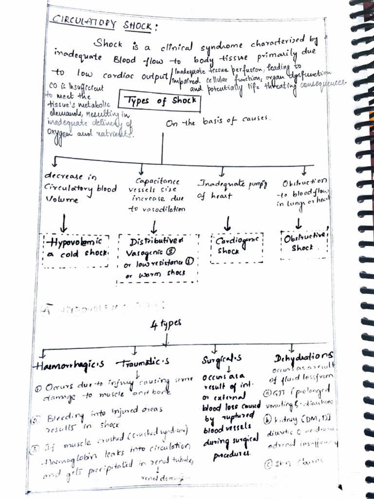 Shock PDF Analysis and Insights | PDF