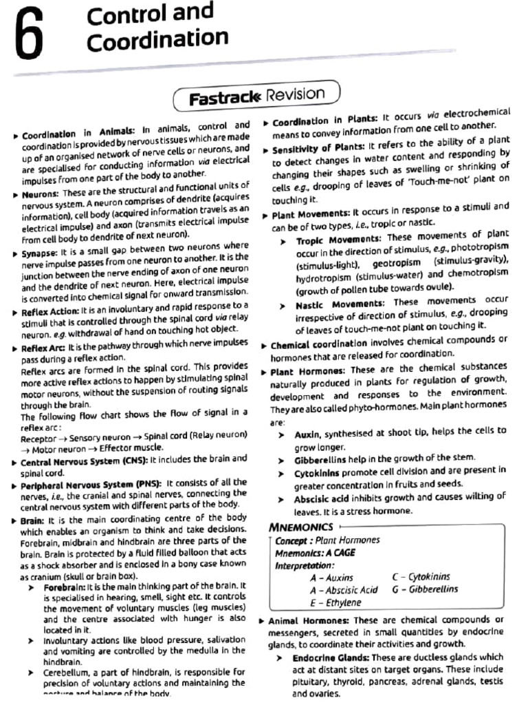ch control and coordination | PDF | Endocrine System | Hormone
