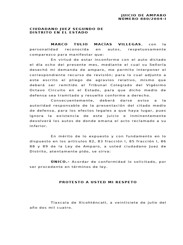 Recurso de Revisión en Amparo 880/2004-I | PDF | Ley procesal | Caso de ley