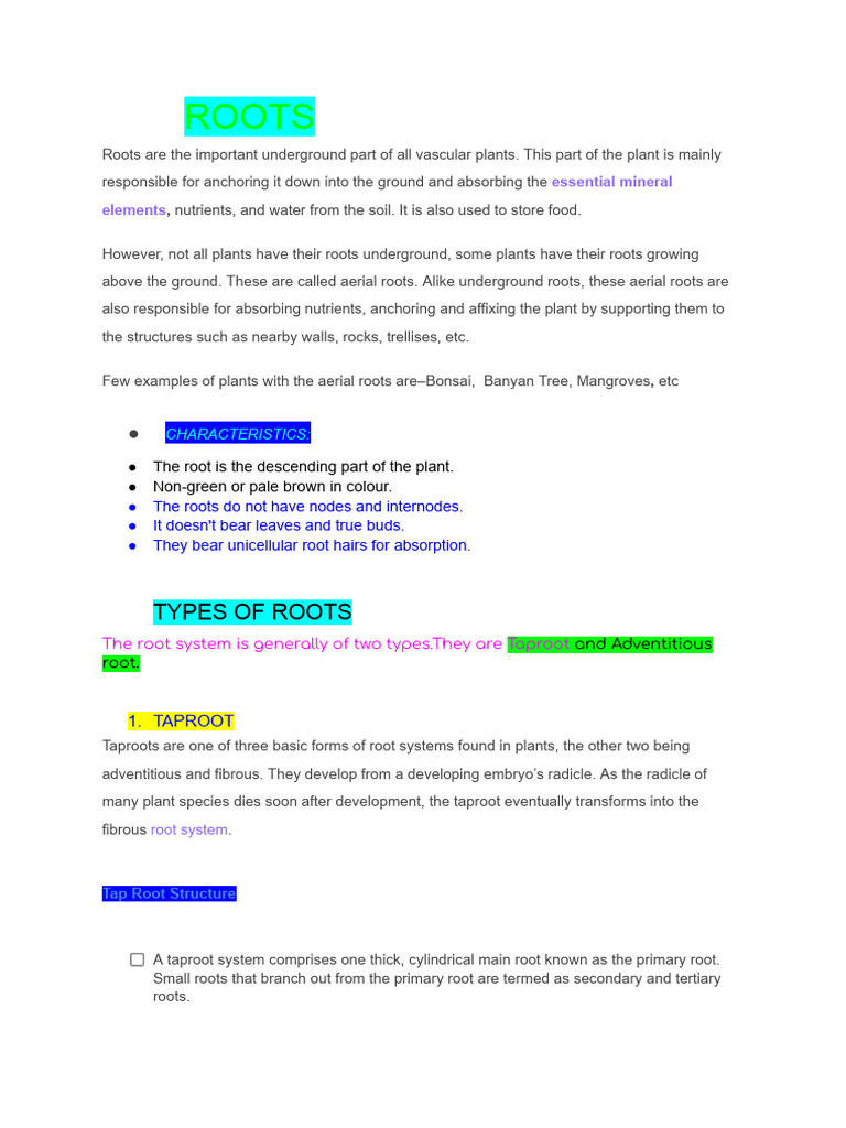 Types and Functions of Plant Roots | PDF | Root | Plant Stem