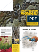 Eight Legged Wonders