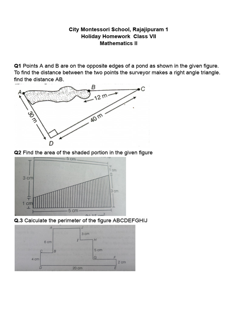 Class VII Holiday Math Homework Guide | PDF | Triangle | Area