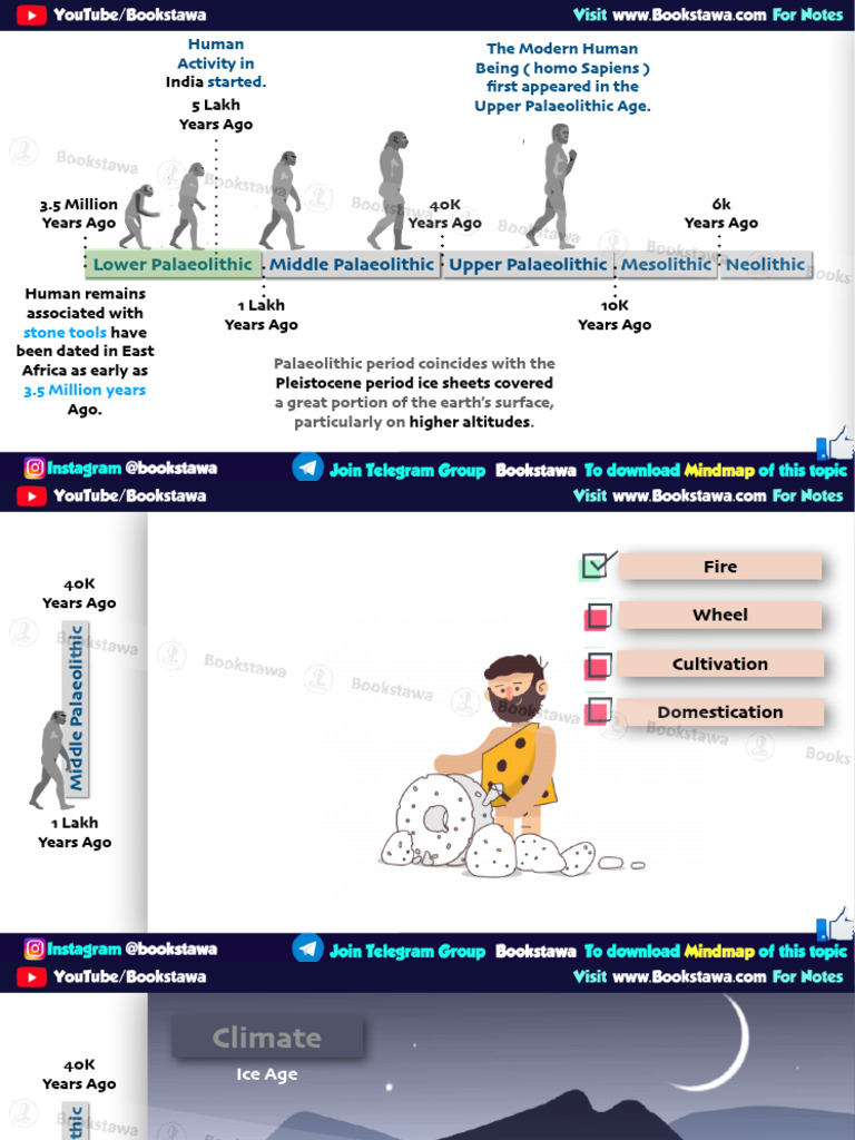 Middle Palaeolithic Overview | PDF | Paleolithic | Stone Age