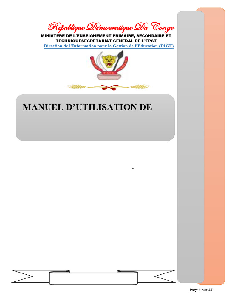 Manuel d'utilisation E-SIGE-RDC 2024 | PDF | Microsoft Excel | Internet
