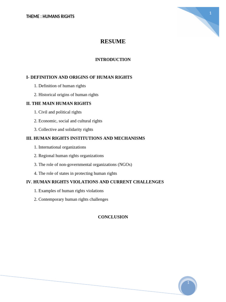 Understanding Human Rights Essentials | PDF | Human Rights | Civil And ...