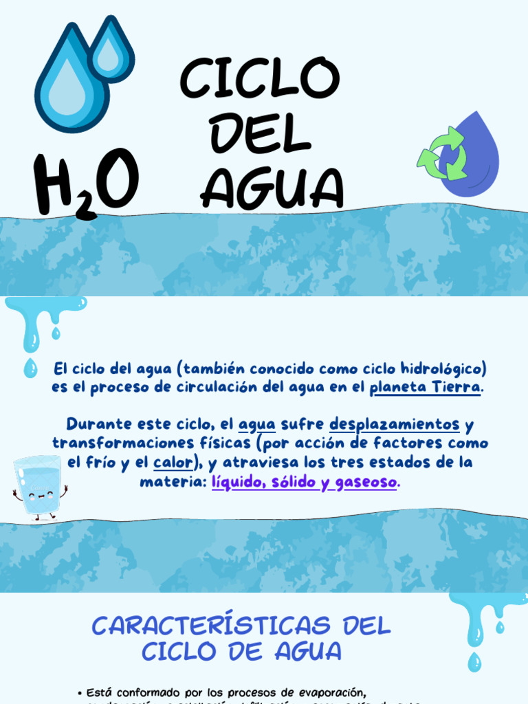 Ciclo del Agua: Procesos y Importancia | PDF | Agua | El ciclo del agua