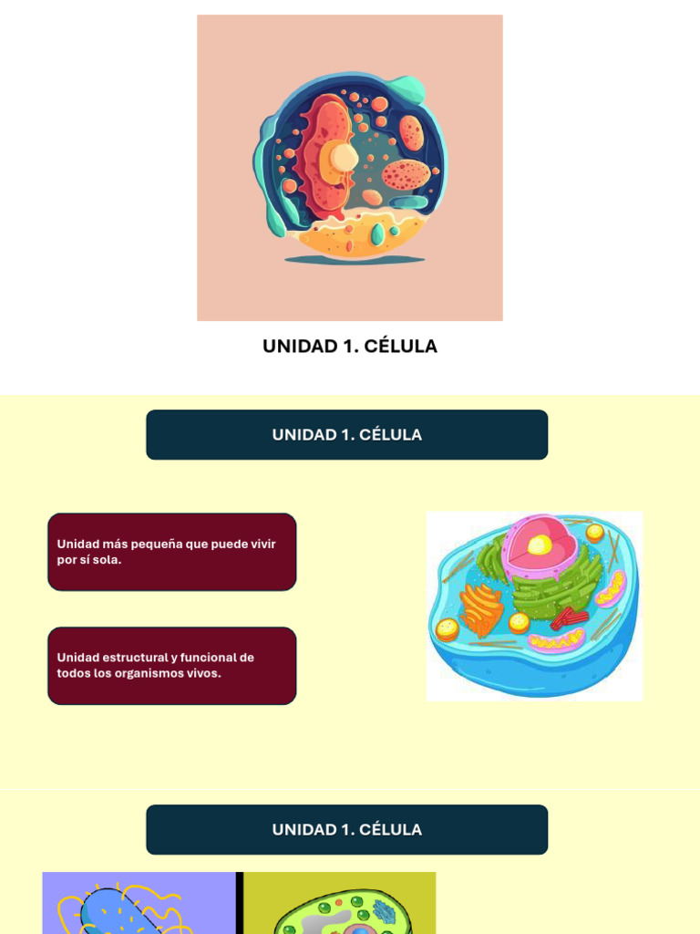 Estructura y Función de las Células | PDF | Biología Celular) | Citoplasma