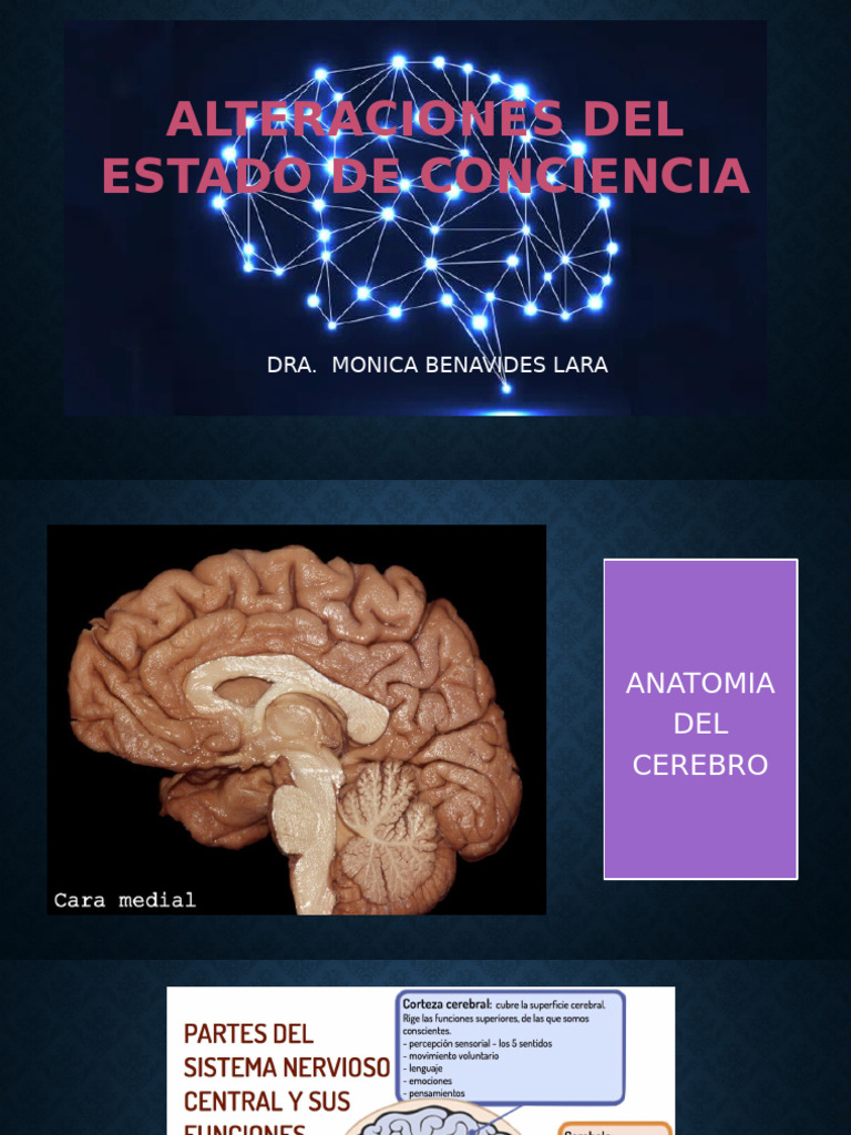 Alteraciones de La Consciencia | PDF | Conciencia | Coma