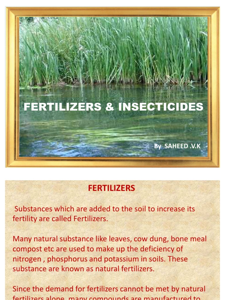 Fertilizer Ppt Fertilizer Eutrophication